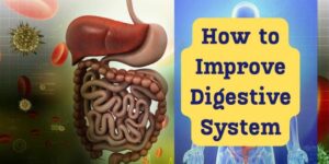 How-to-improve-digestive-system-in-hindi